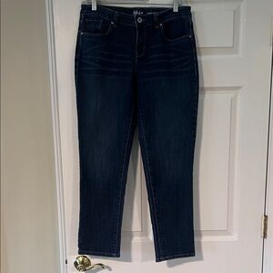 STYLE & Co Women's Classic curvy Boyfriend dark wash Jeans